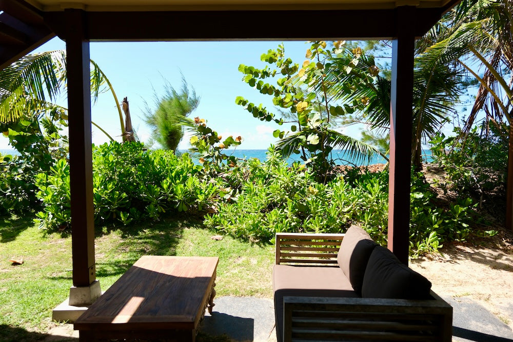 Beachfront Open Studio