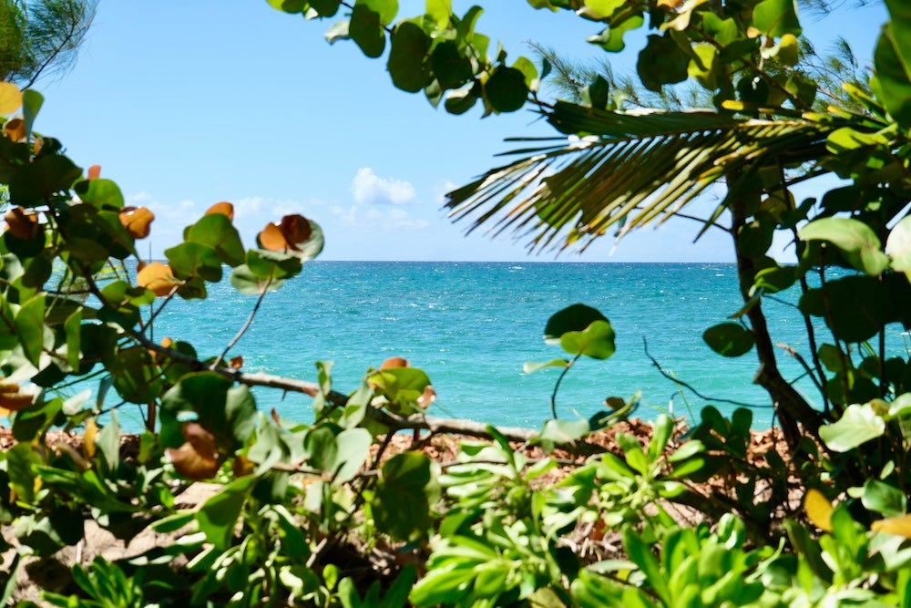 Beachfront Open Studio