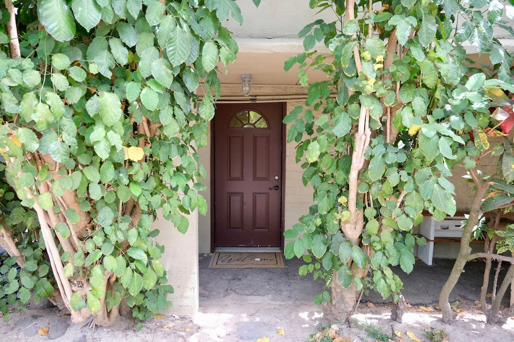 Beachfront Access, 1 Bedroom Apt