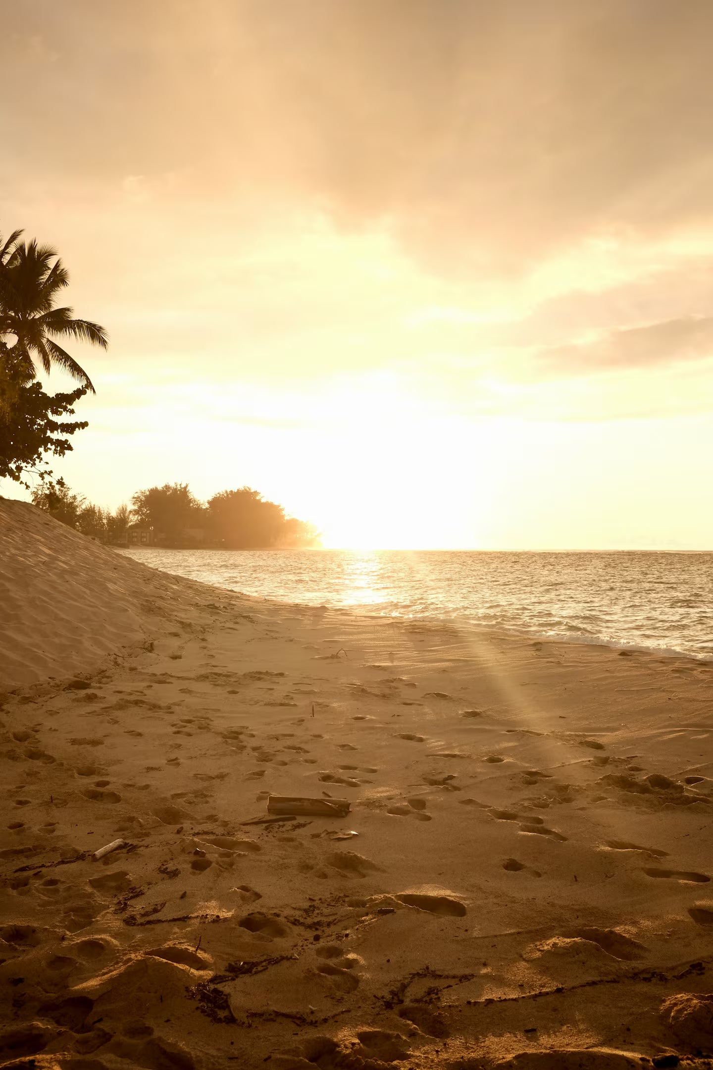 Beachfront Access, 1 Bedroom Apt