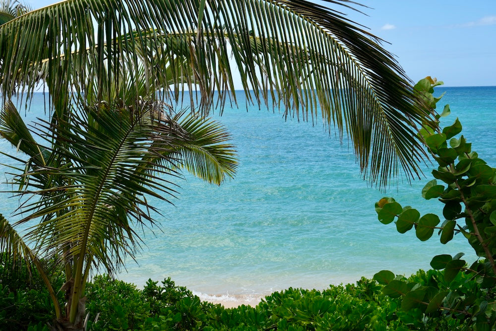 Ocean Views 2 Bedroom