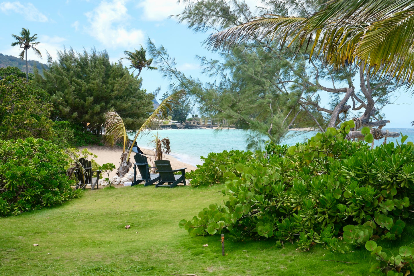 Romantic Beachfront Studio